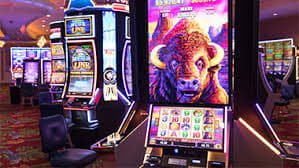 Pasang taruhan sepak bola dan bulu tangkis di platform cici4d slot